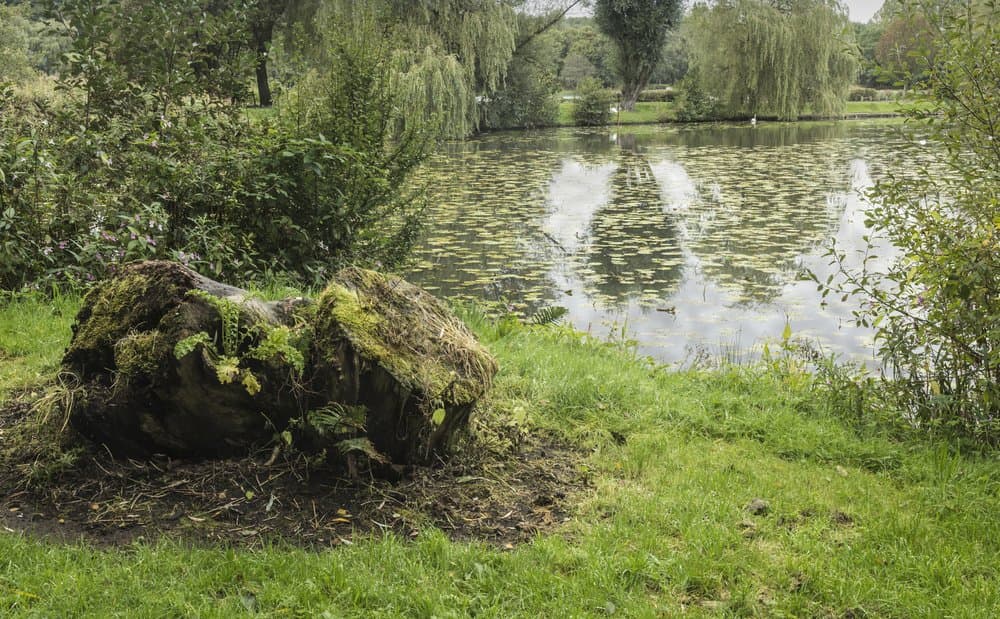 Moses Gate Country Park