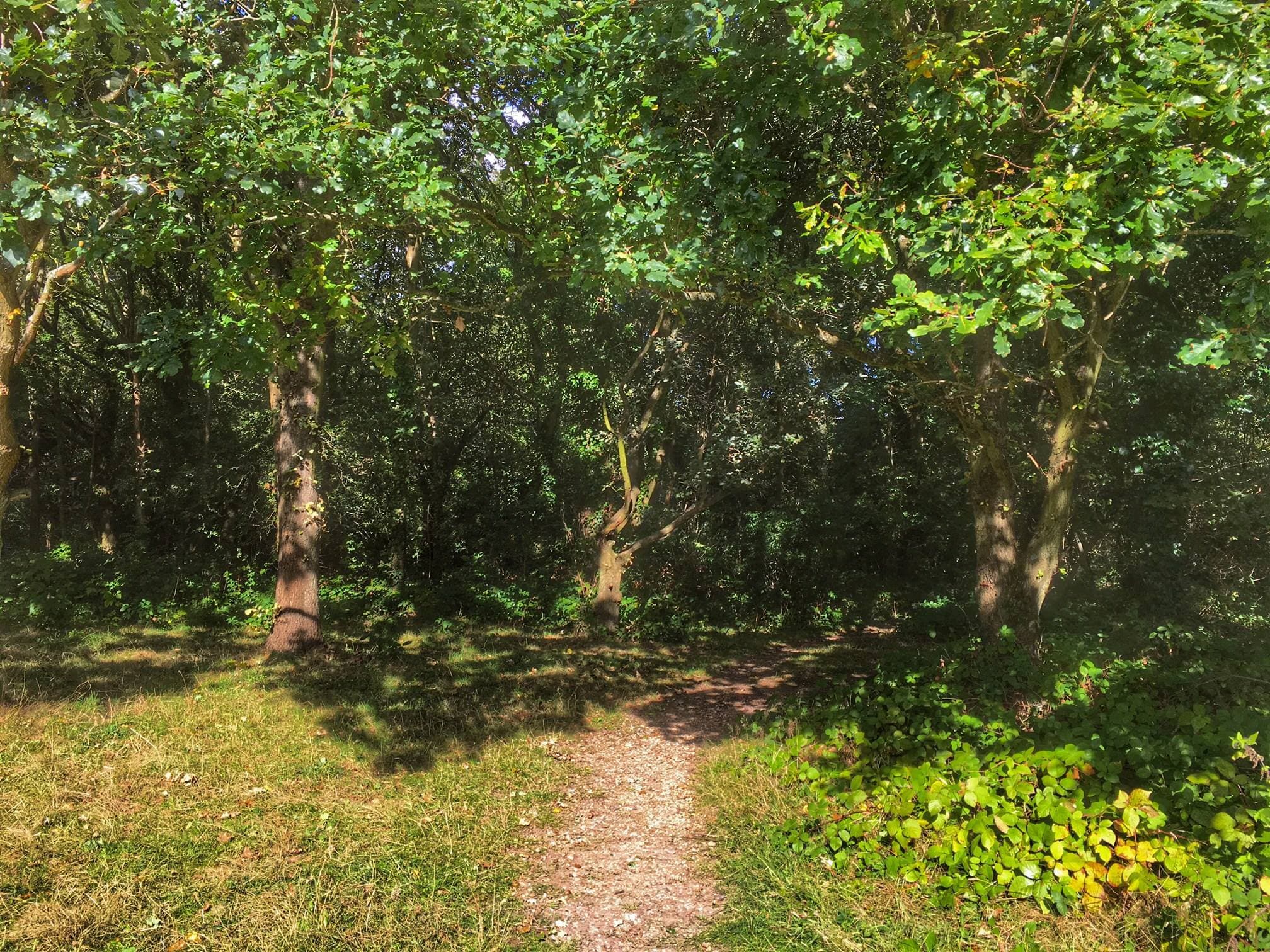 Denham Country Park - Photo