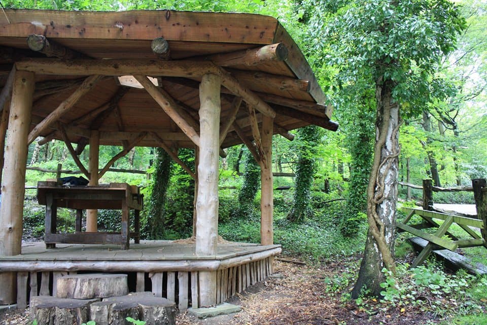 Ecclesall Woods