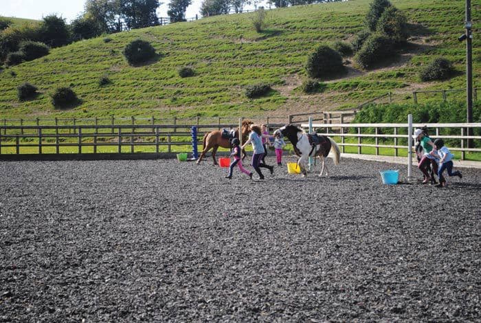 Pockerley Riding School - Photo 1