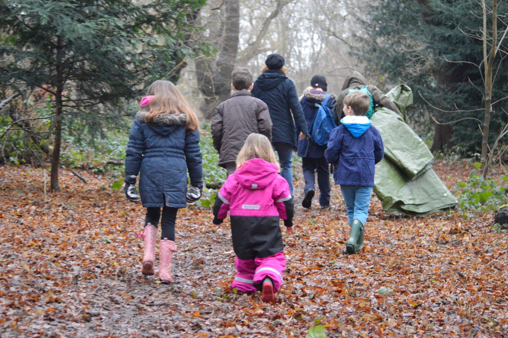 Epping Forest and Visitor Centre - Photo 1