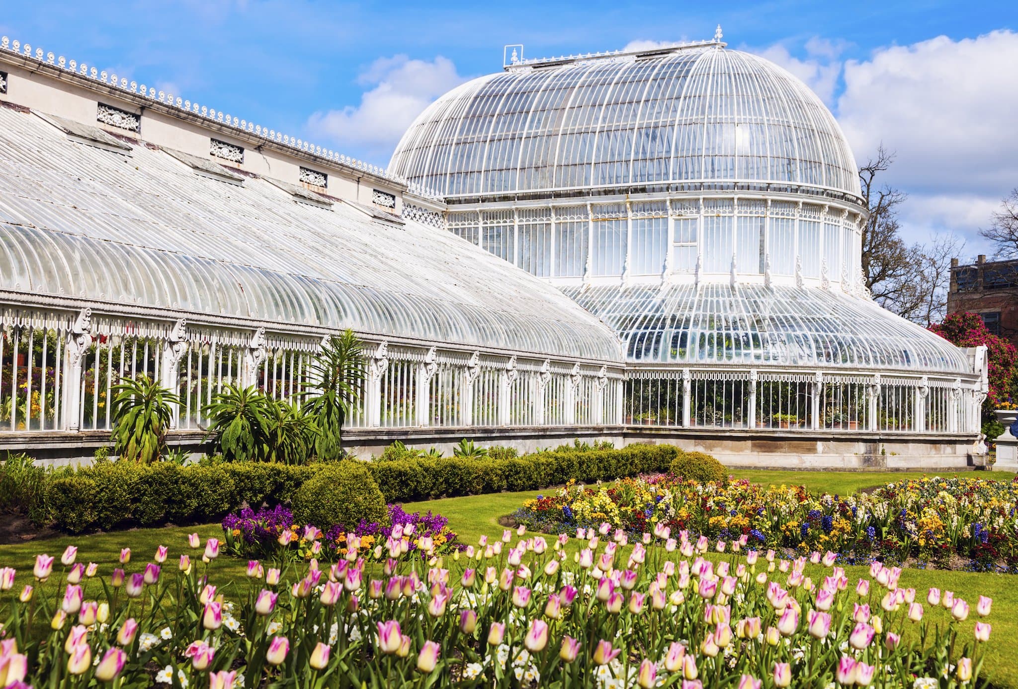 Botanic Gardens and Palm House
