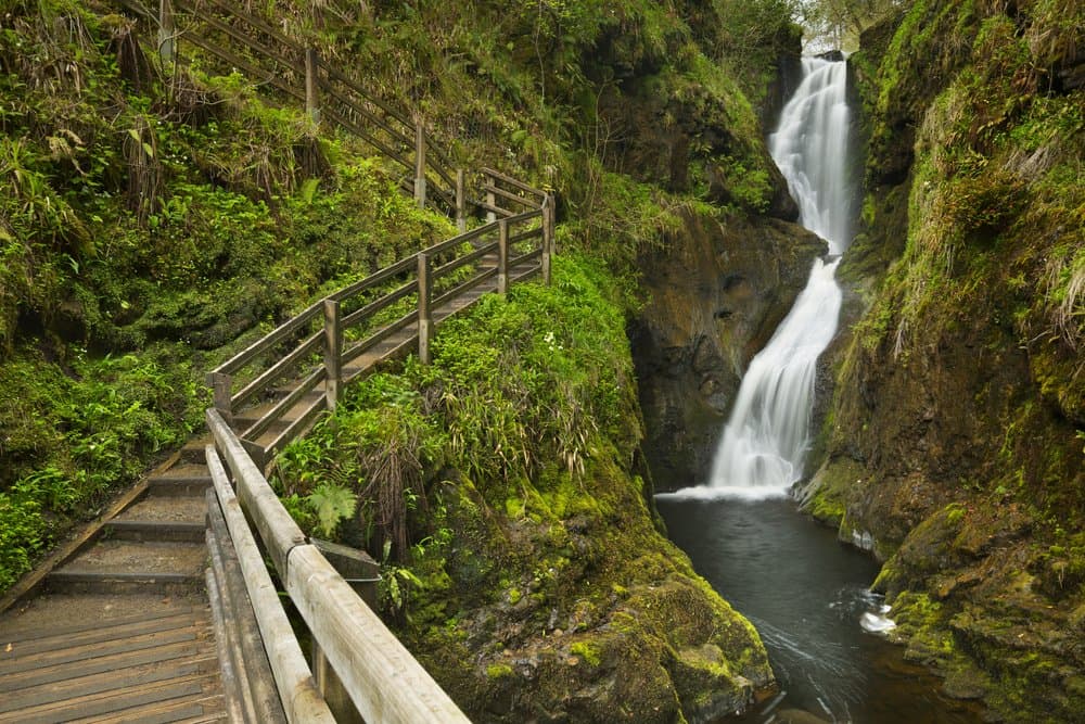 Glenariff Forest Park - Photo 1
