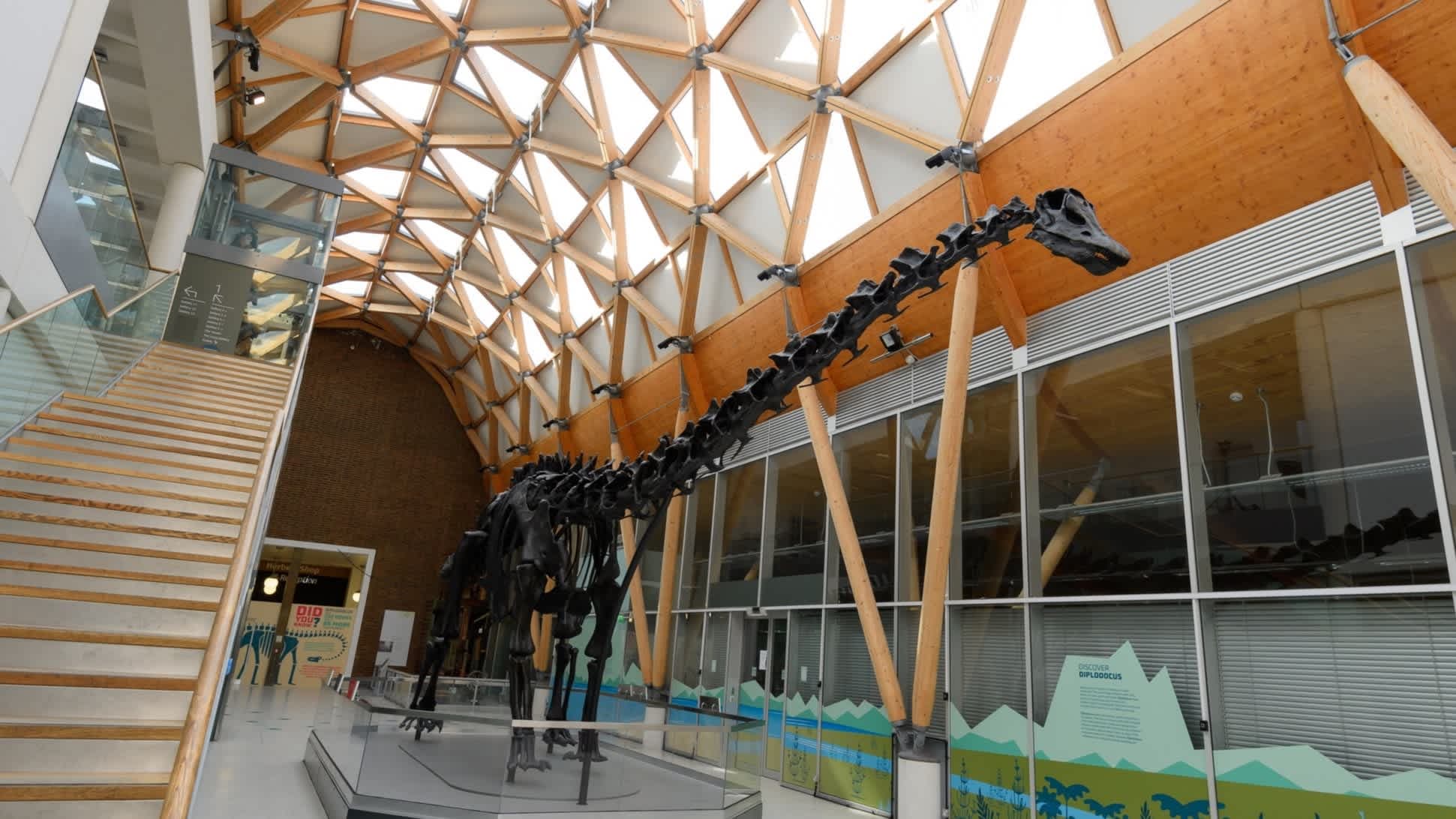 Herbert Art Gallery and Museum - Photo