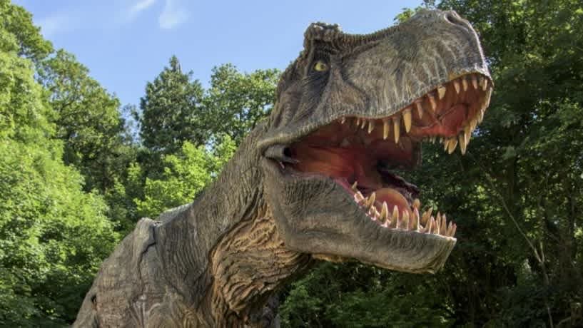 Combe Martin Wildlife & Dinosaur Park