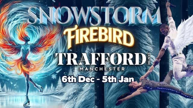 Snowstorm 4 Firebird - Photo 1