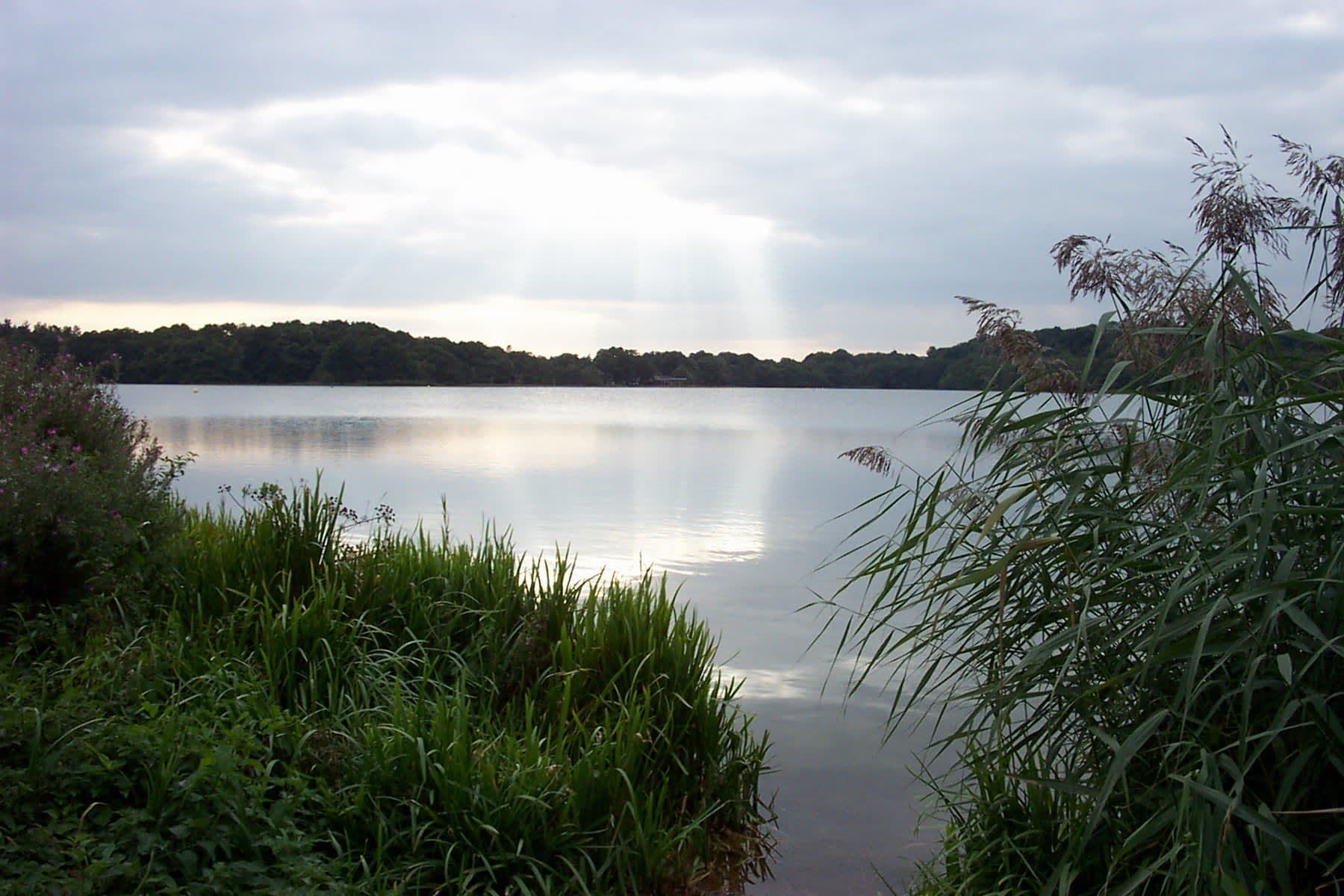 Frensham Great Pond - Photo