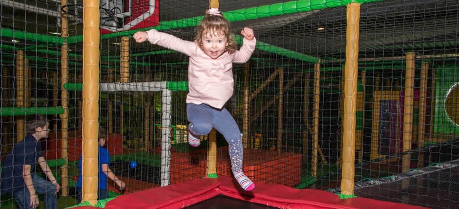 Rainforest Adventure Motherwell