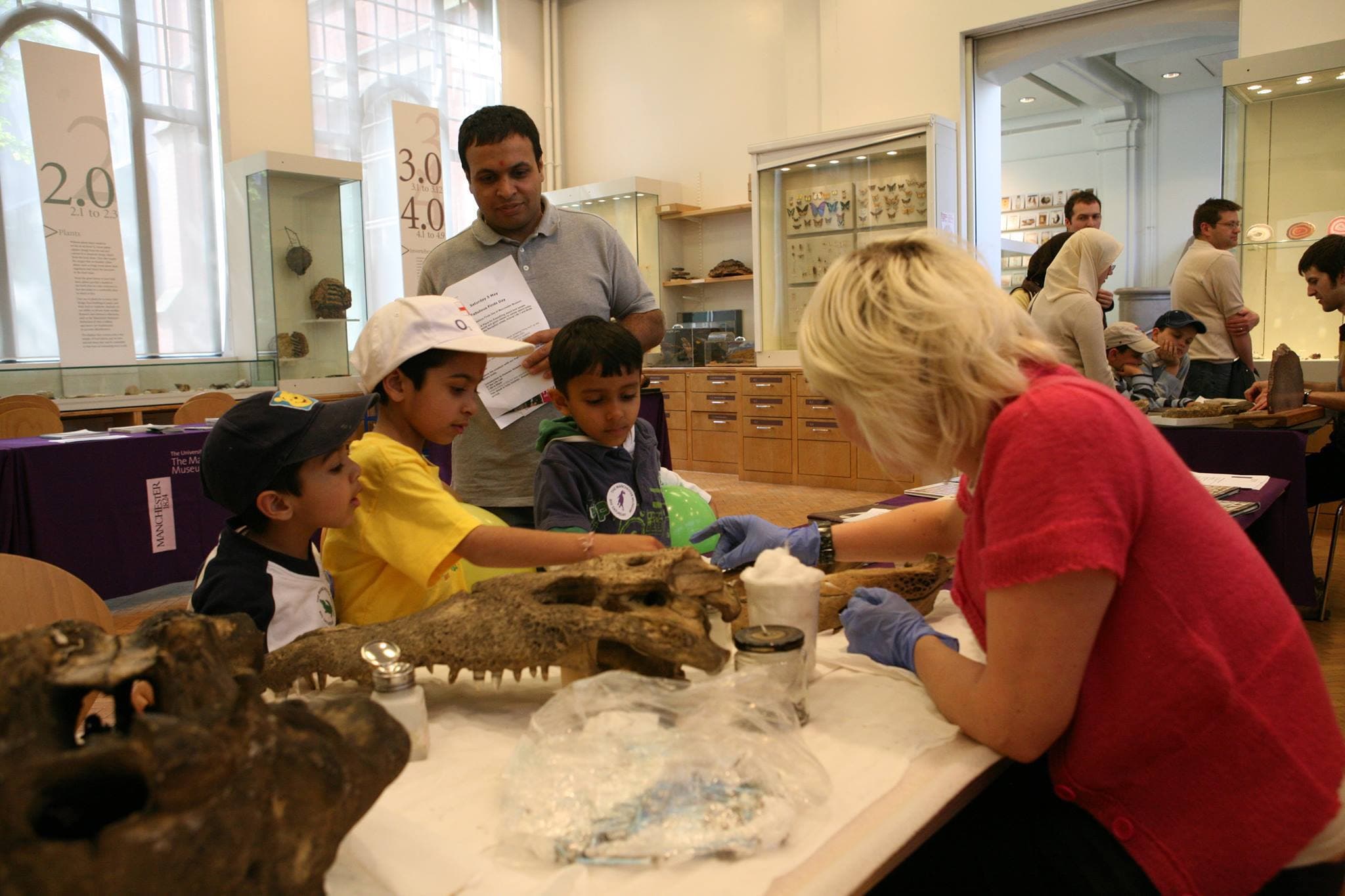 The Manchester Museum - Photo