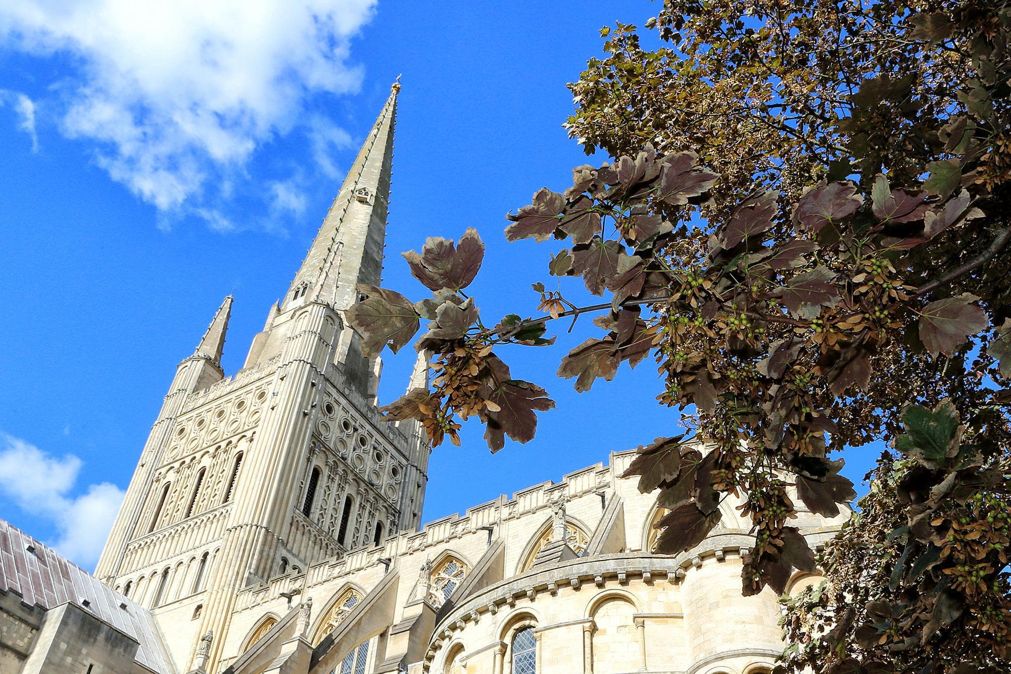 Norwich Cathedral