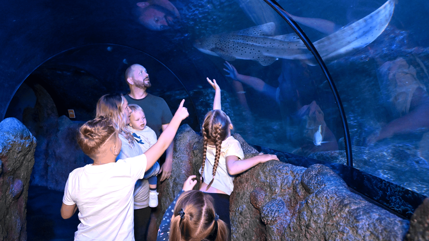 SEA LIFE Manchester