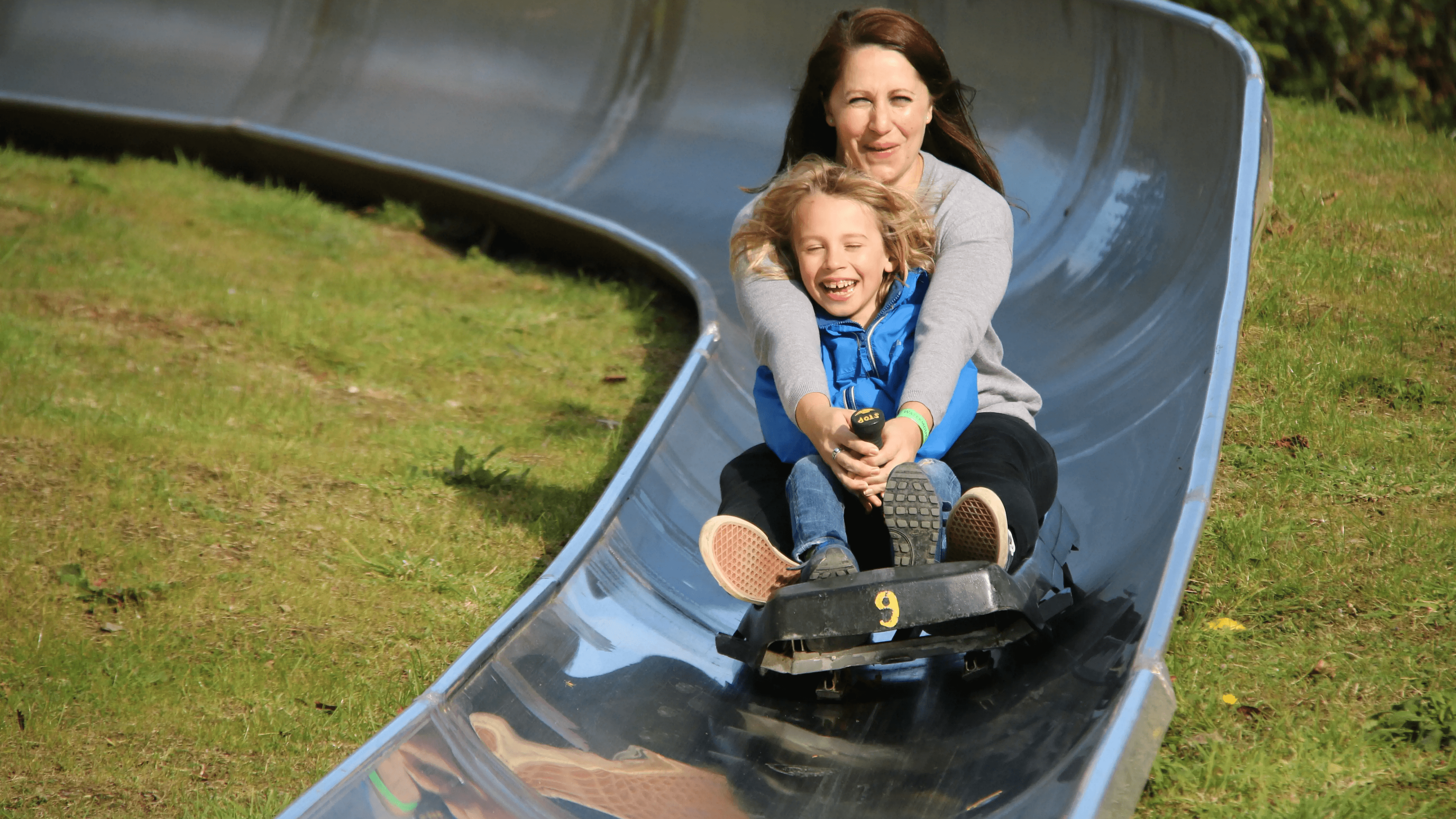 Watermouth Castle and Theme Park - Photo