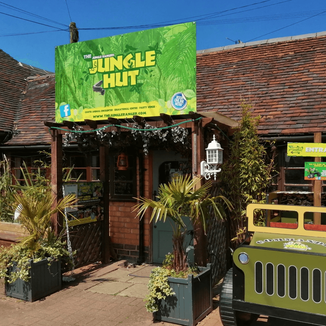 The Jungle Hut