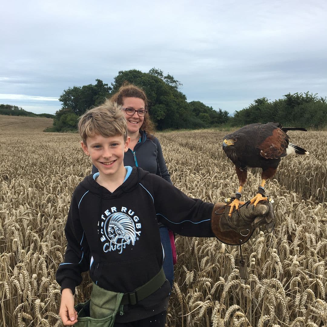 Hawkridge Bird of Prey Centre - Photo