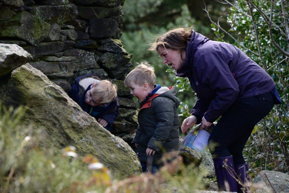 Stoneywell