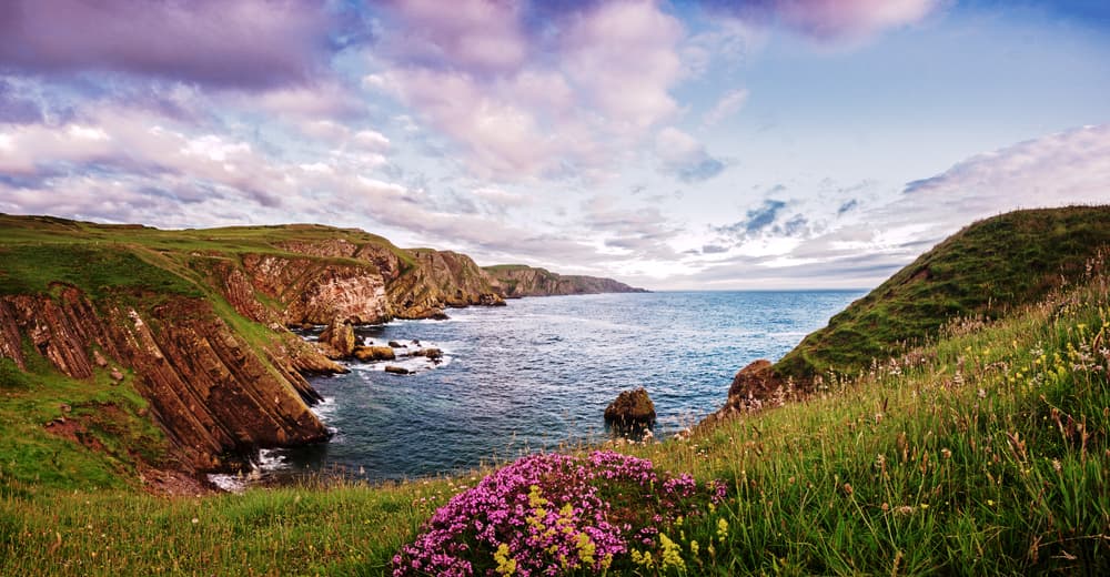 St Abbs Head Nature Reserve