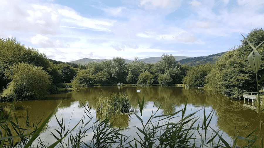 Conwy Water Gardens - Photo