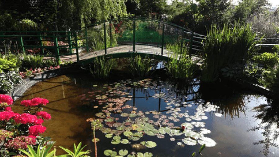 Ralph Court Gardens - Photo