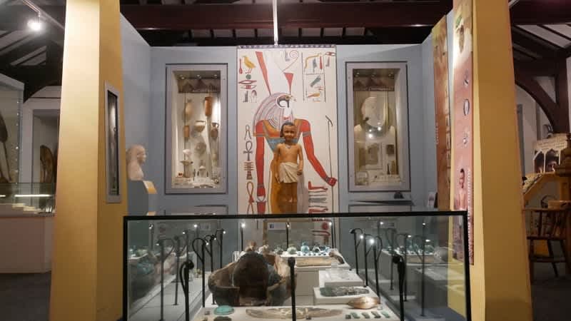 Torquay Museum - Photo