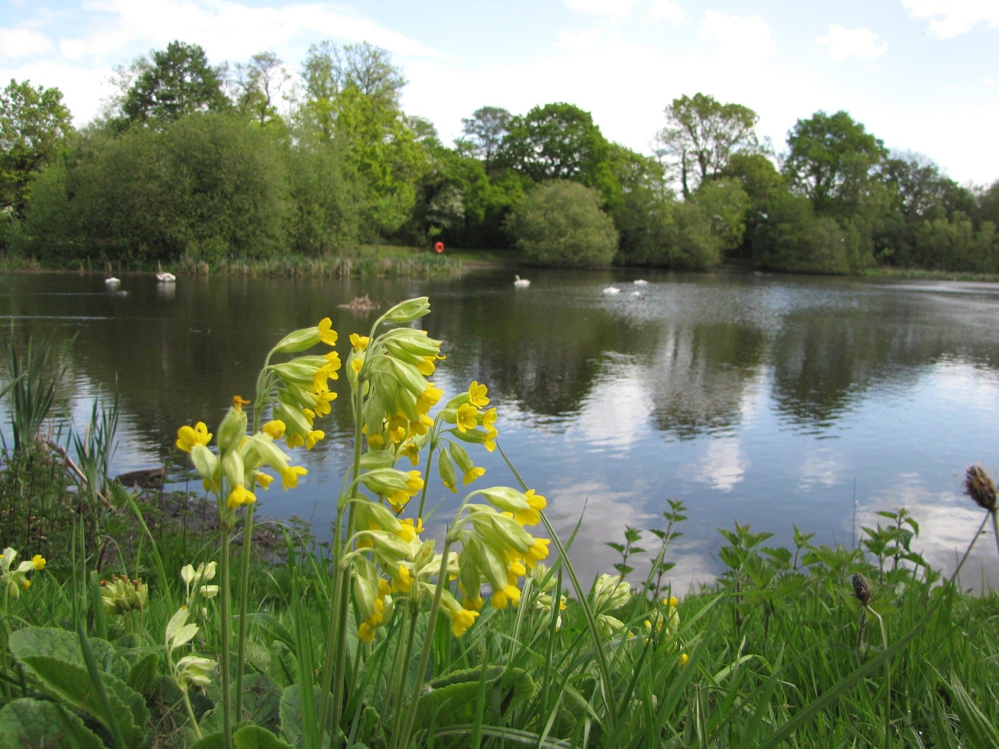 Shepherd Meadows - Photo