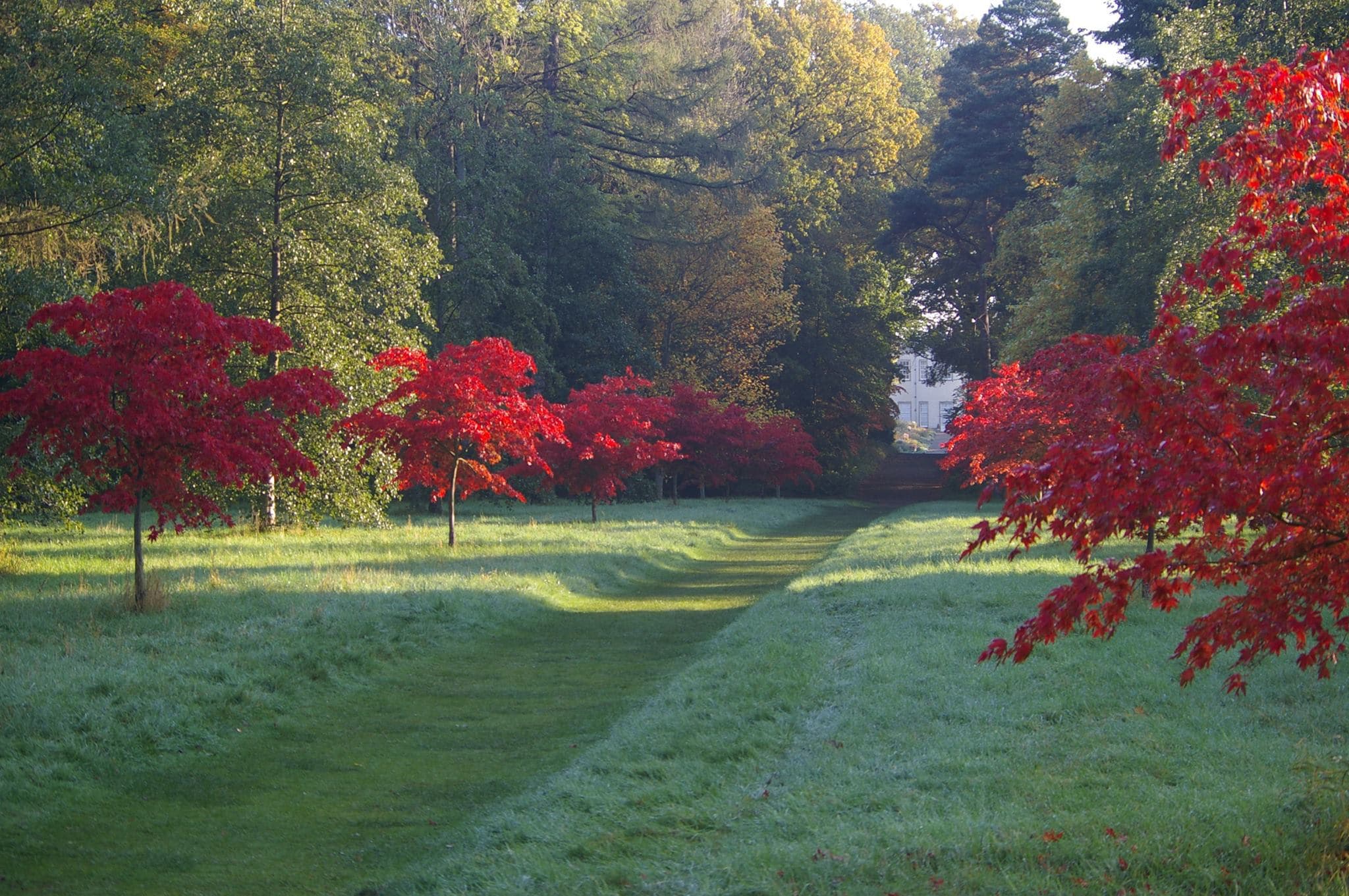 Thorp Perrow Arboretum and Wildlife Park - Photo