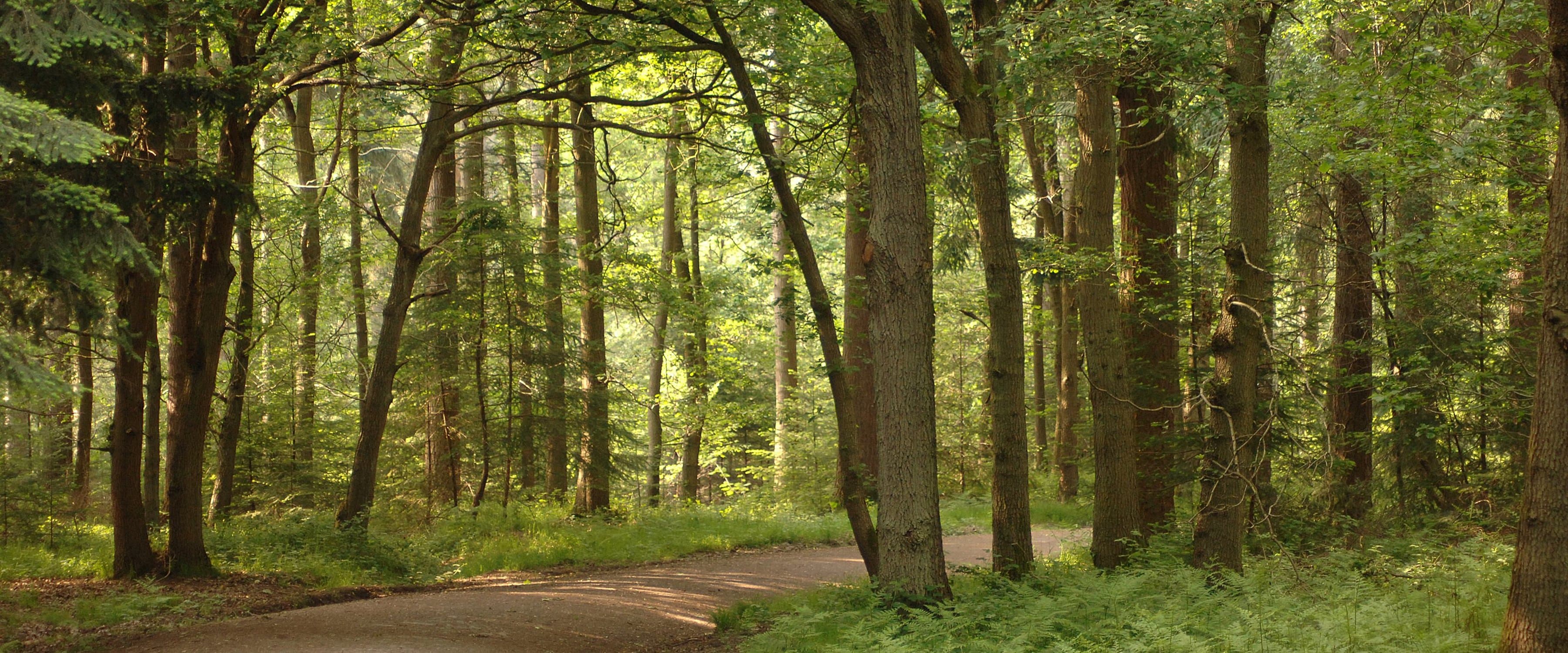 Wyre Forest Discovery Centre - Photo