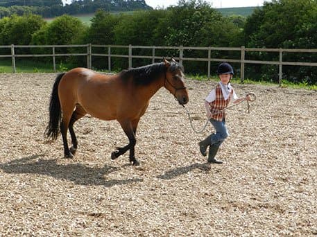 Sherwood Riding School - Photo