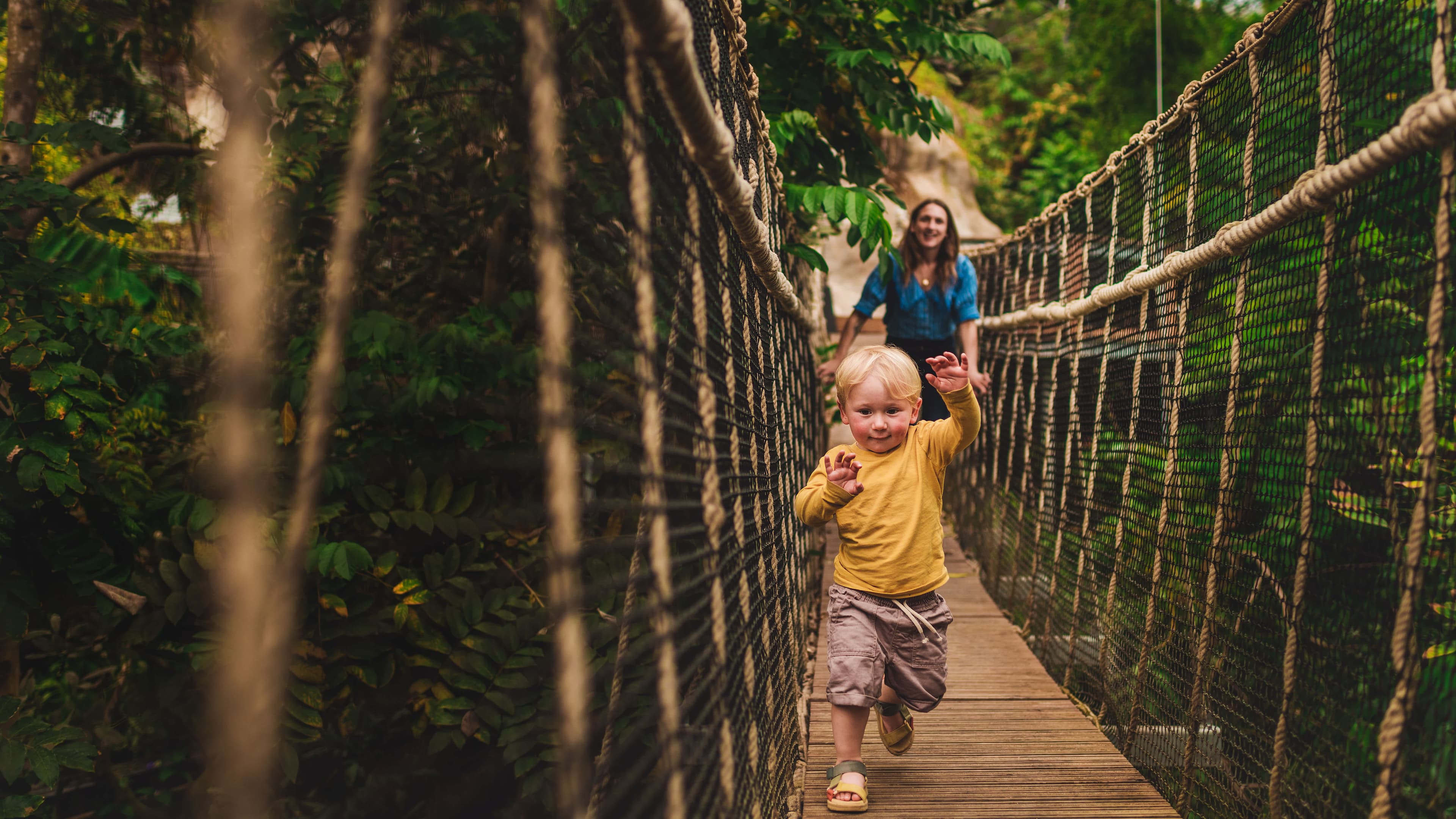The Eden Project - Photo