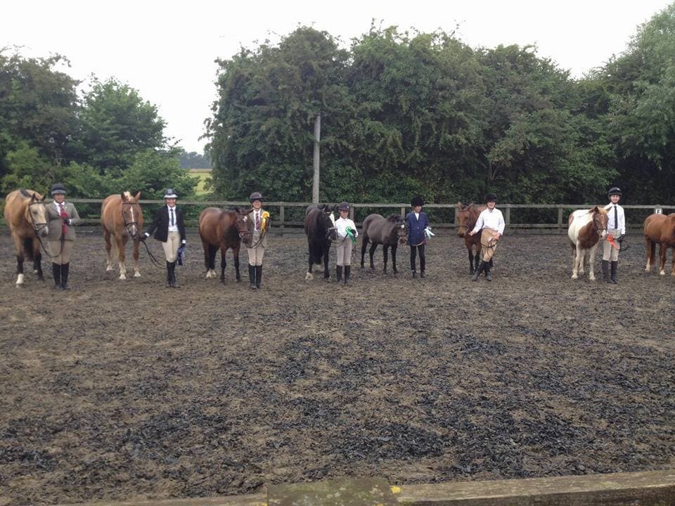 Maple Pollard Riding Centre
