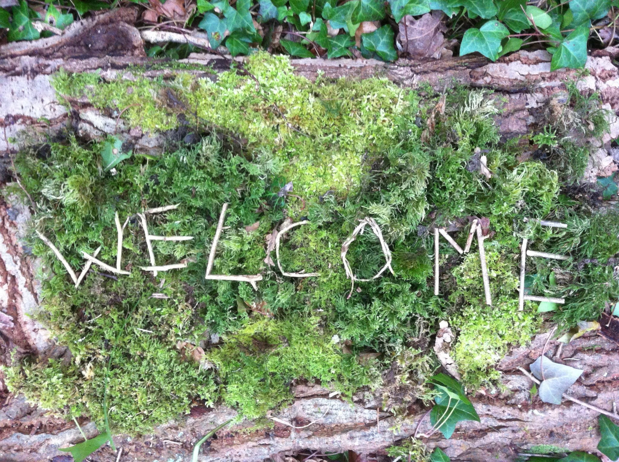 Woodland Adventurers - Photo
