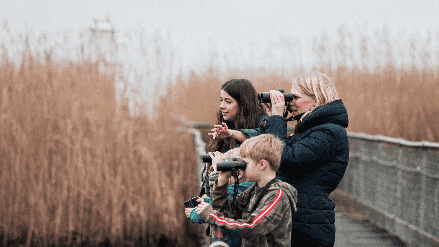 RSPB Newport Wetlands - Photo
