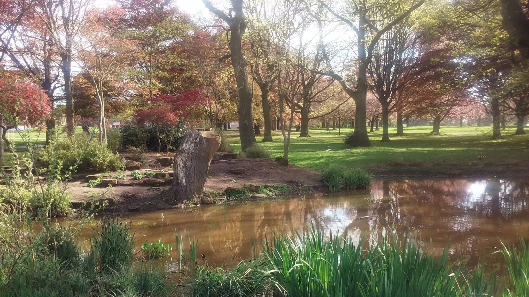War Memorial Park