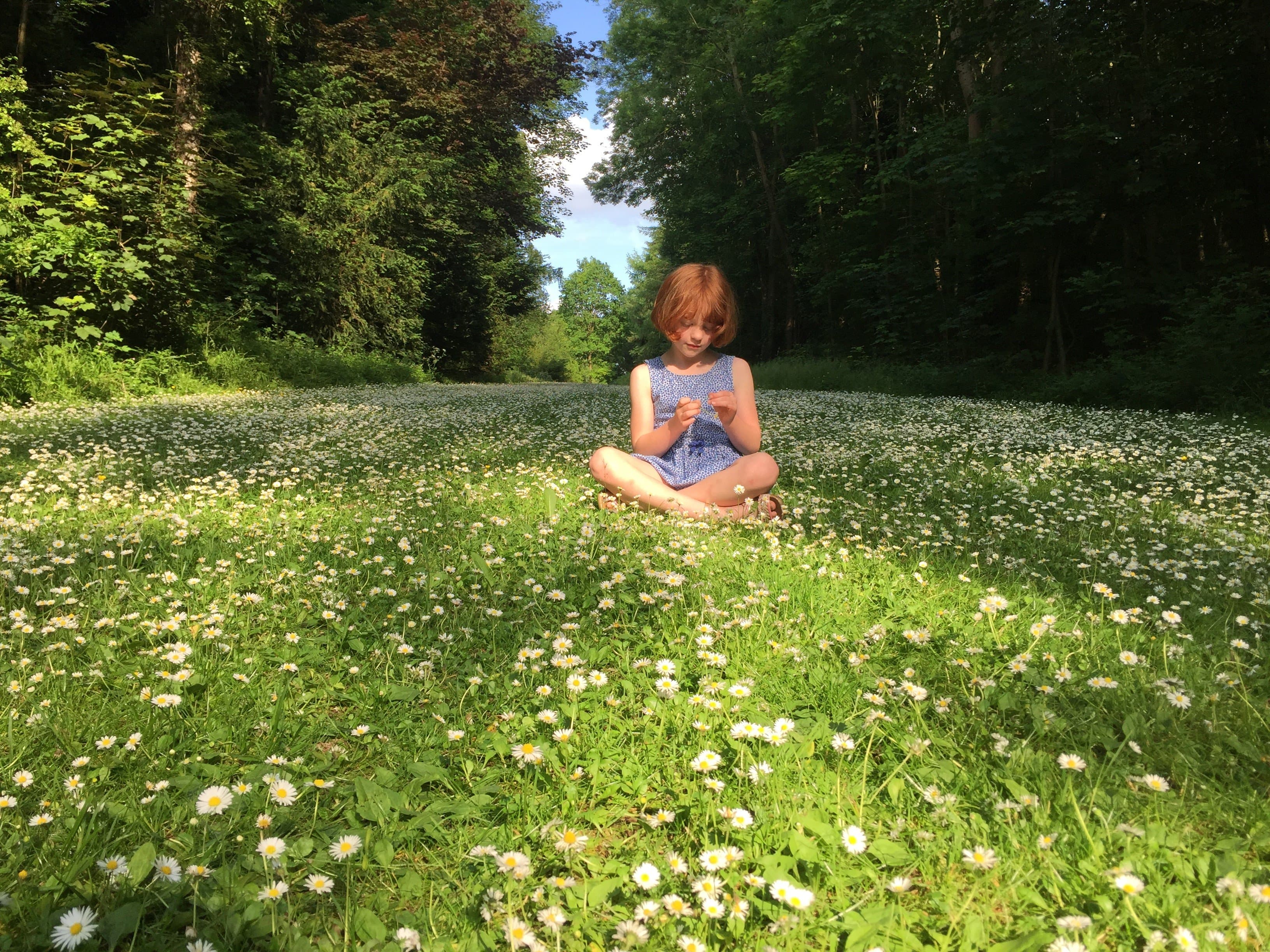 Evenley Wood Garden - Photo