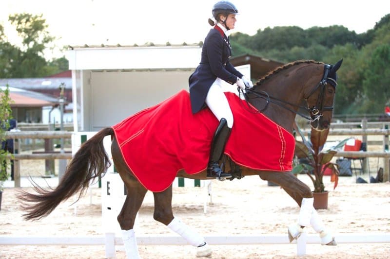 Hallingbury Hall Equestrian Centre