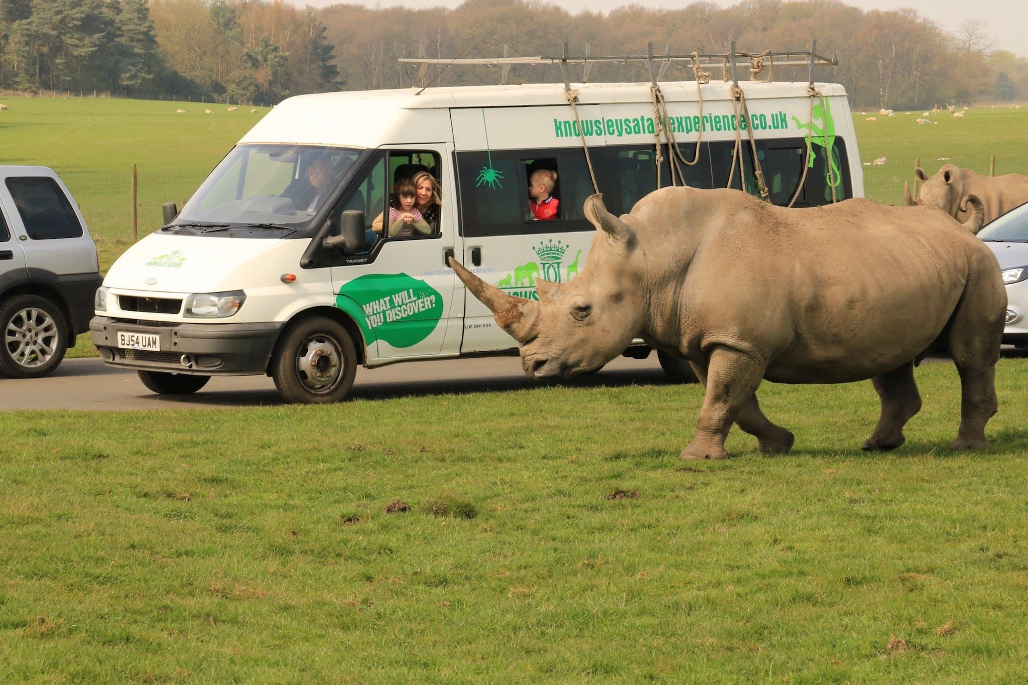 Knowsley Safari Park - Photo