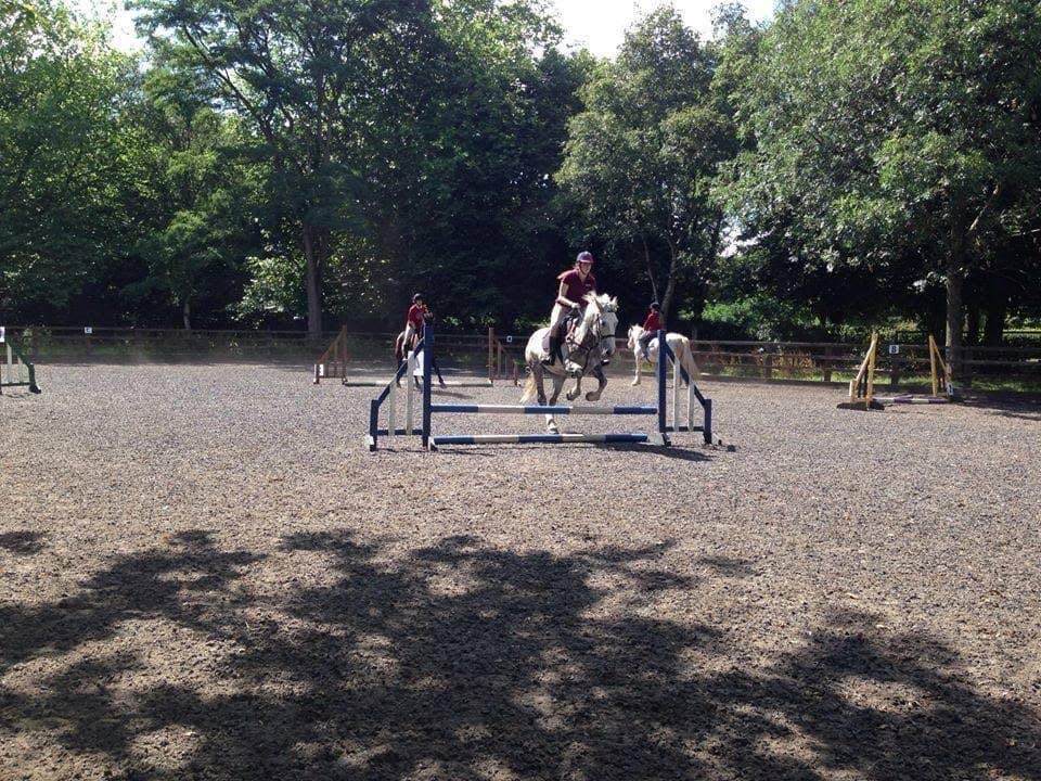 Wythenshawe Park Riding Stables - Photo