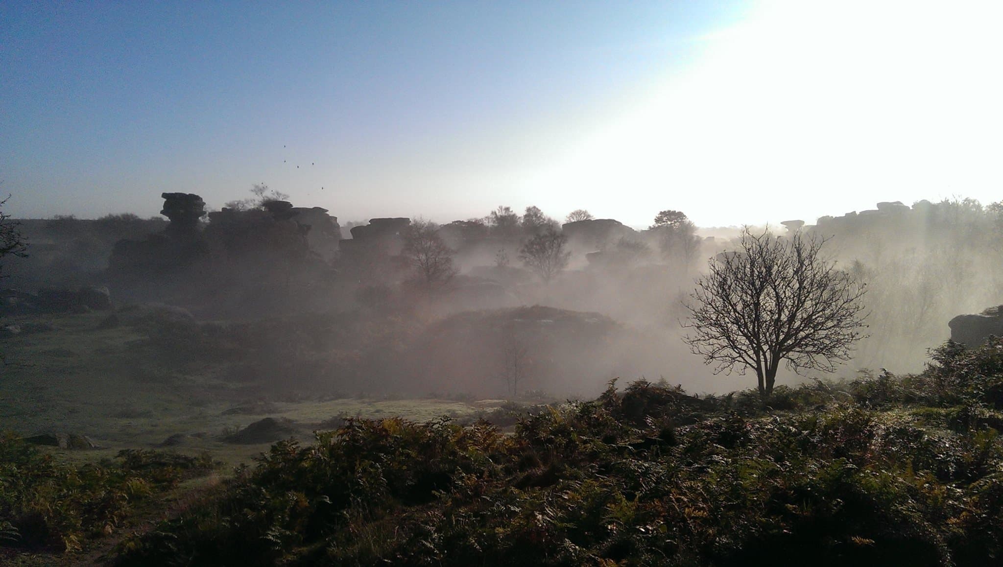 Brimham Rocks
