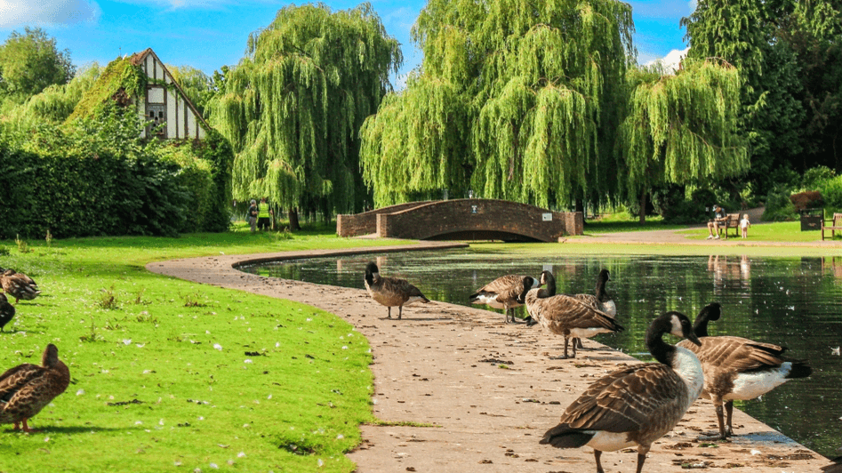 Rowntree Park York - Photo 1