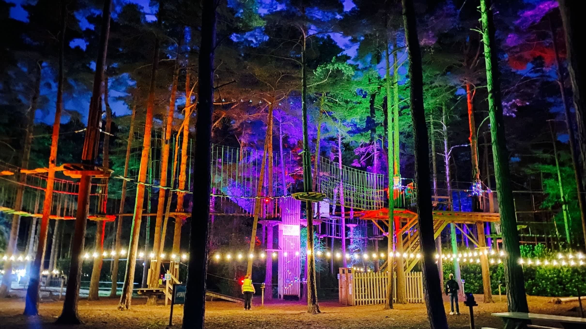 Go Ape Moors Valley - Photo