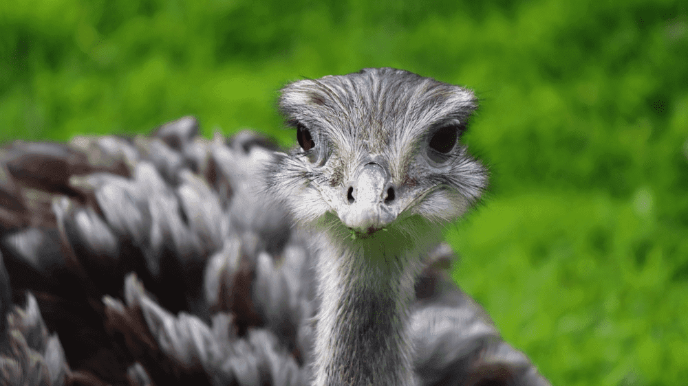 Northumberland Zoo - Photo