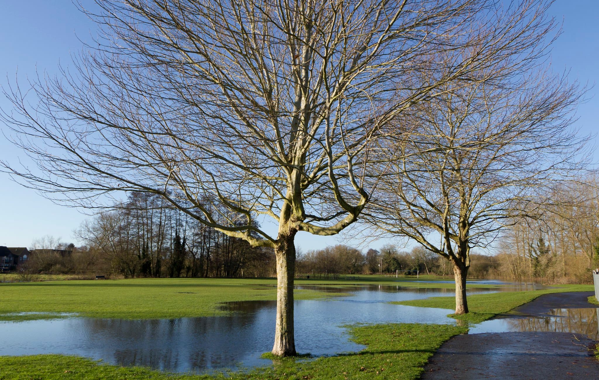Northcroft and Goldwell Parks - Photo 1