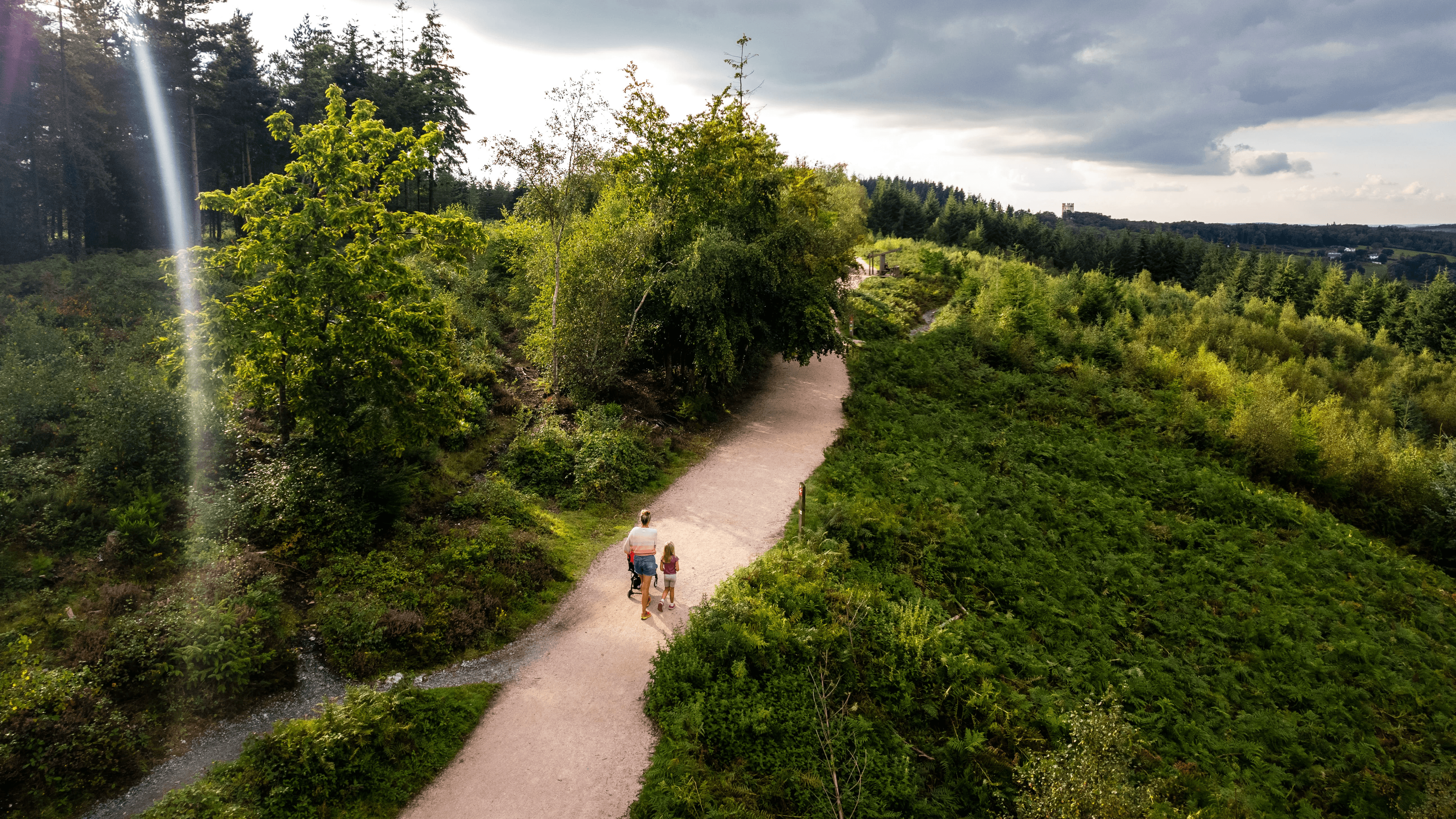 Haldon Forest Park - Photo