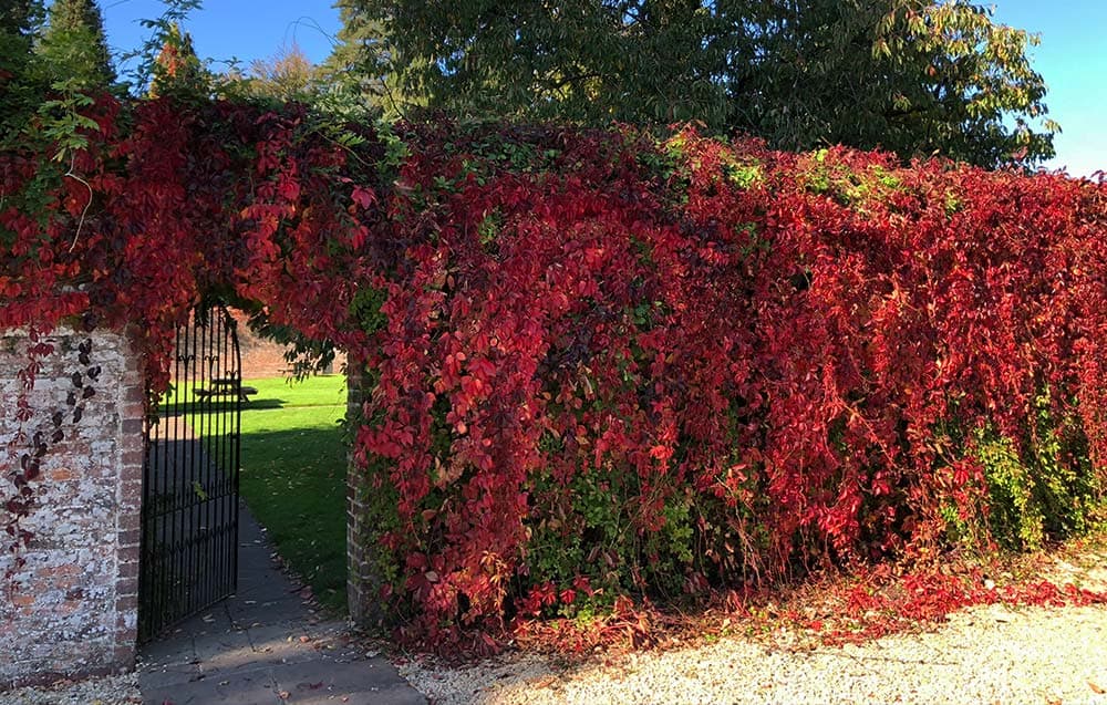Arley Arboretum - Photo