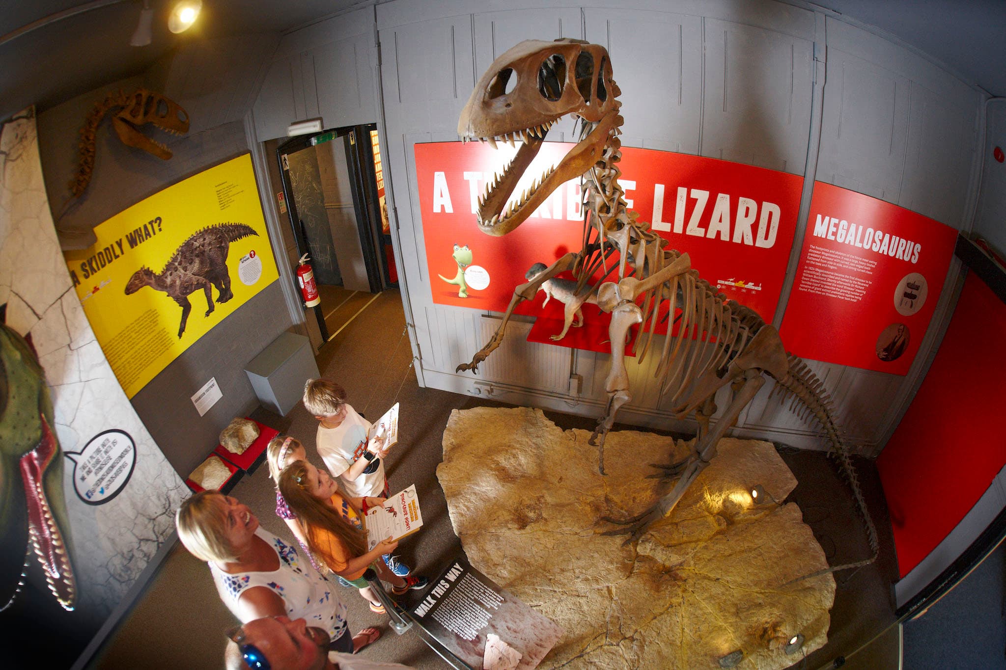 The Dinosaur Museum - Photo