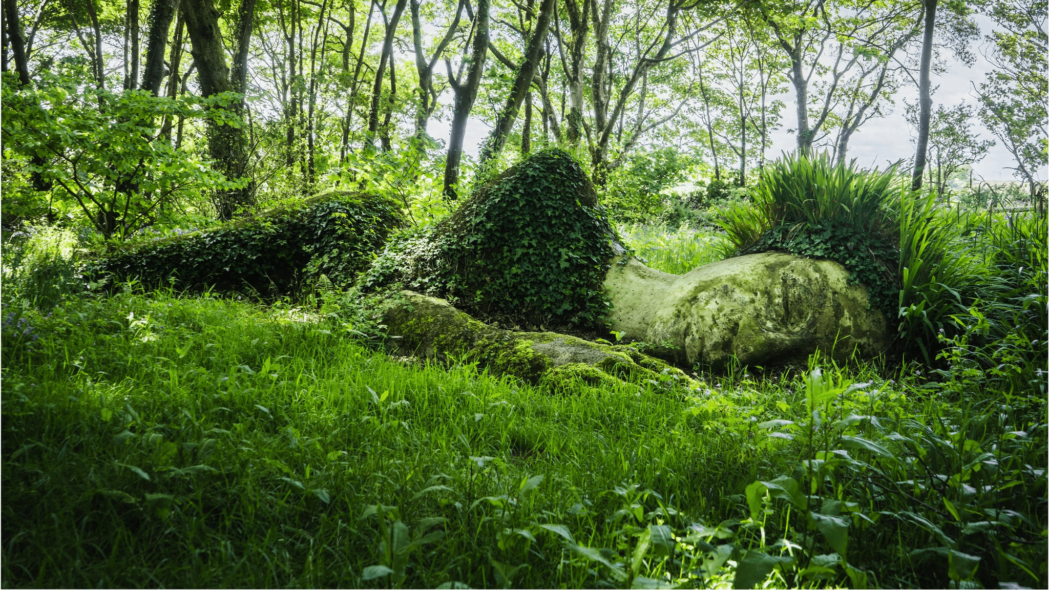 The Lost Gardens of Heligan