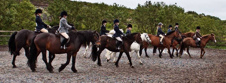 Matchmoor Riding Centre