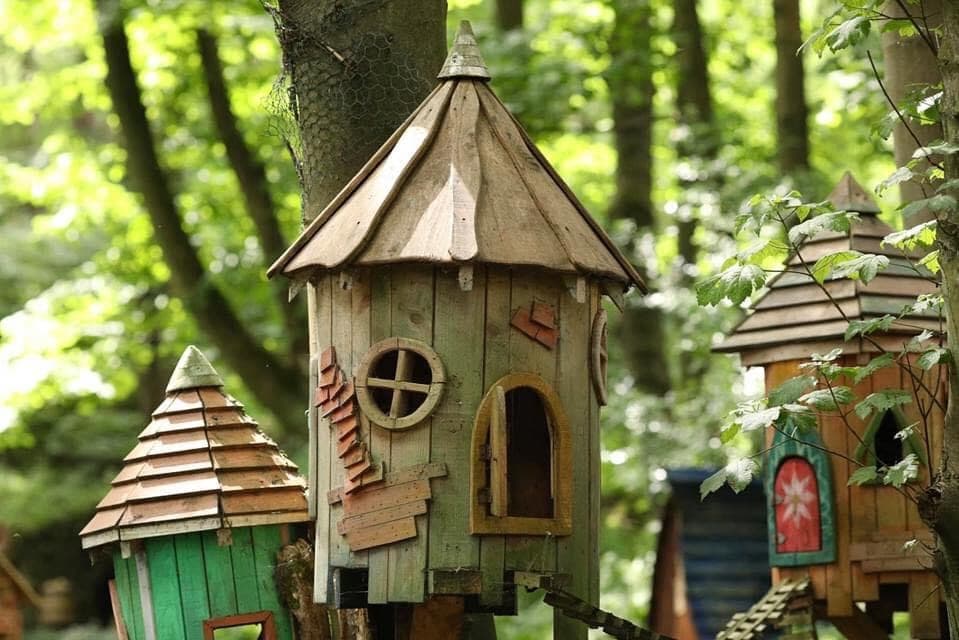 Studfold Adventure Trail - Photo