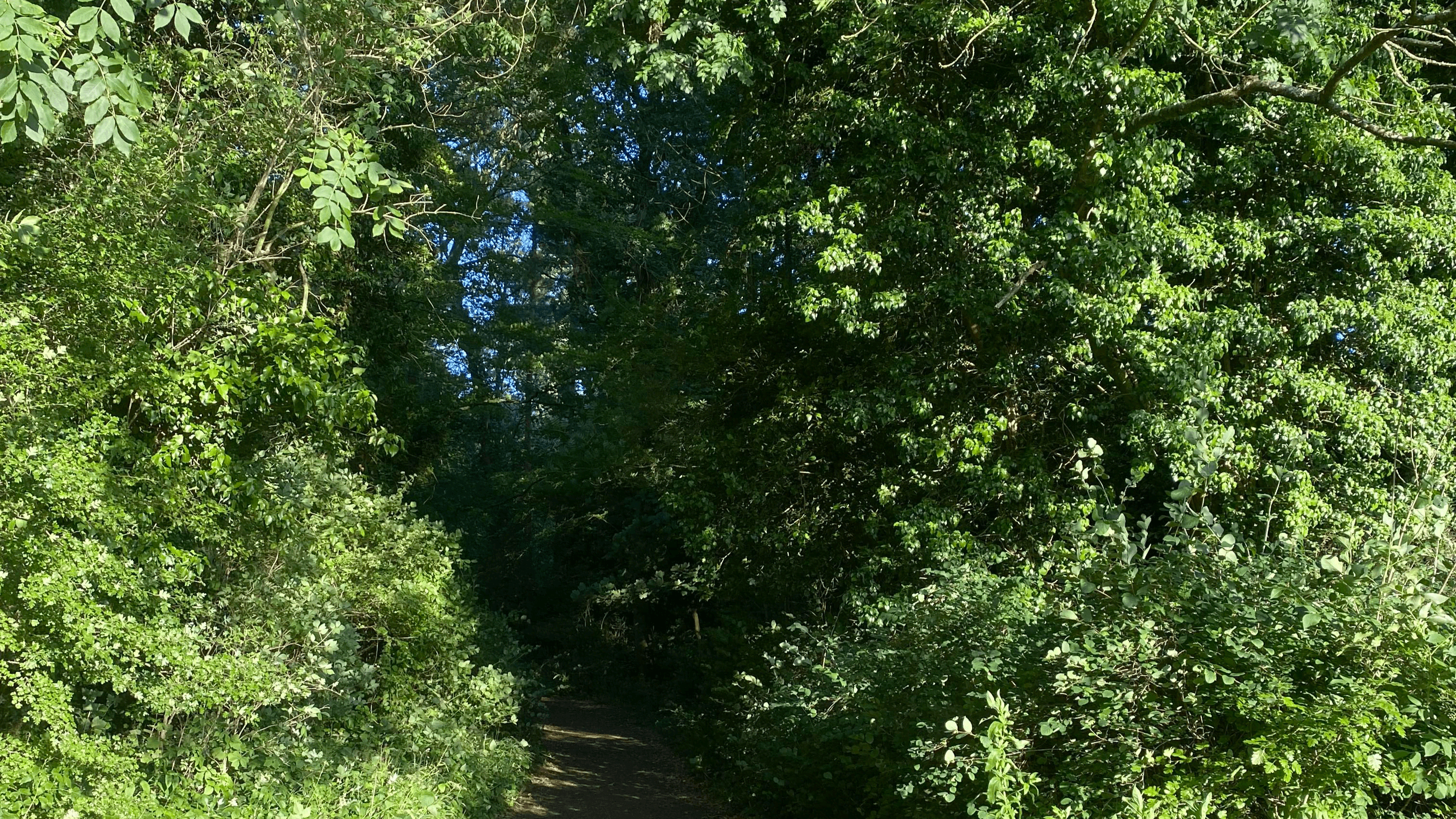 Stanton Park, Swindon - Photo