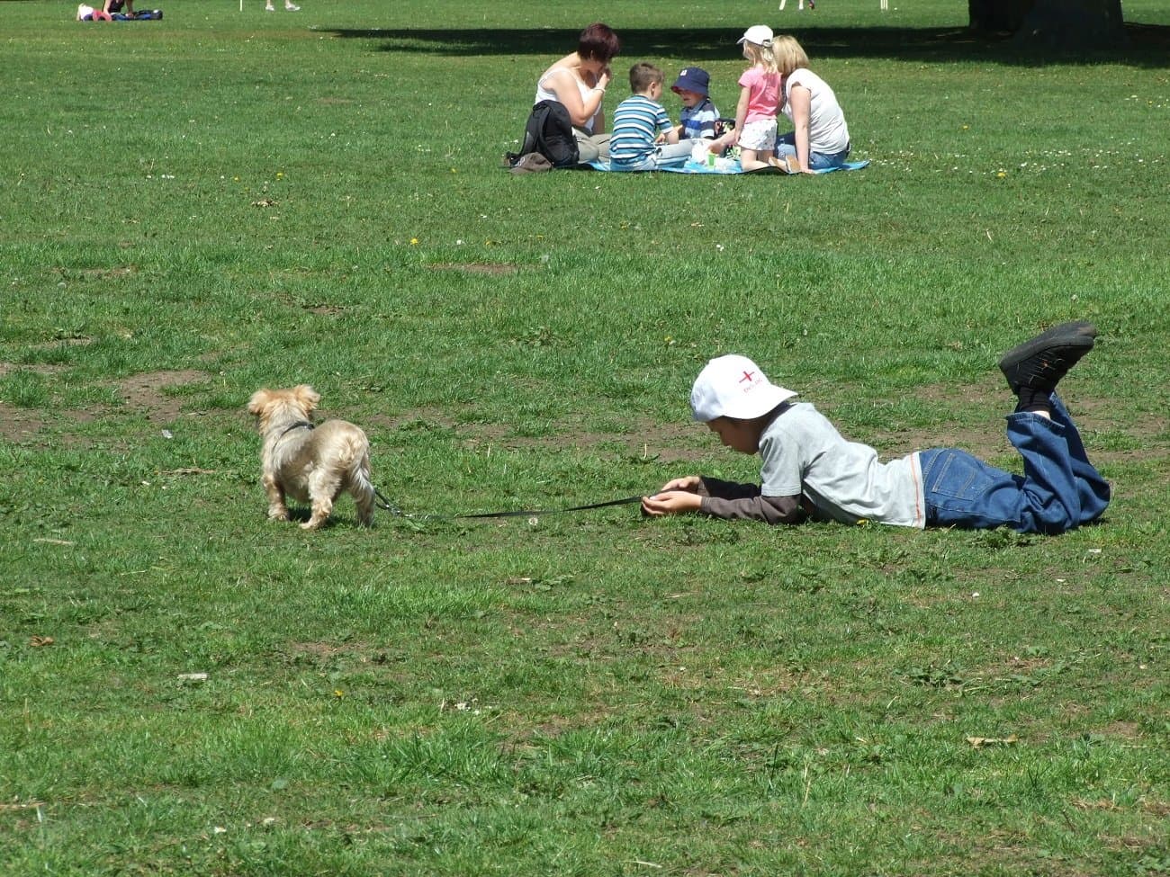 Worden Park - Photo
