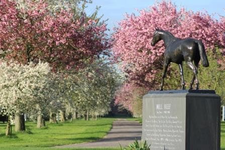 National Stud - Photo